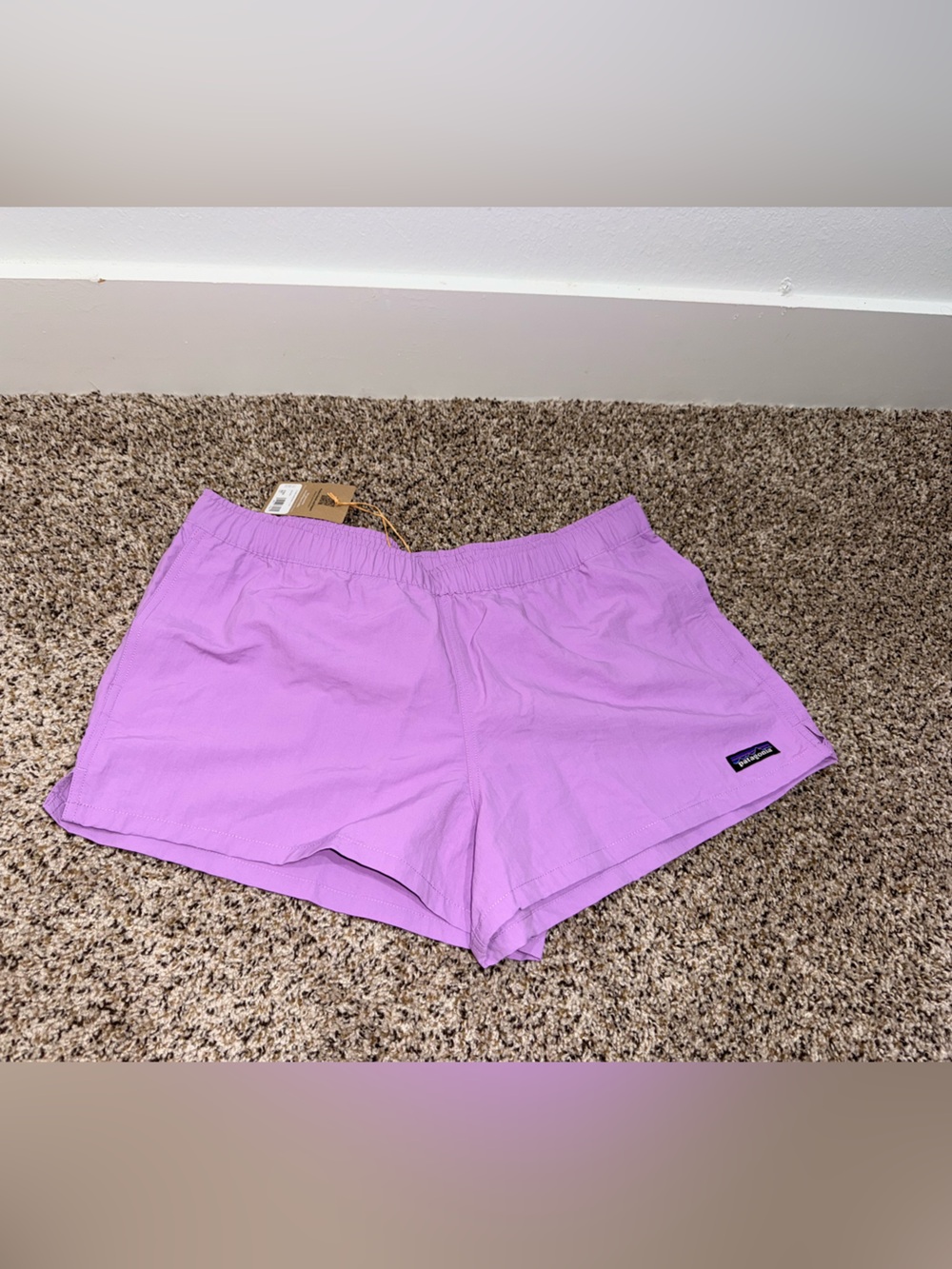 Patagonia Barely Baggies Shorts 2.5”